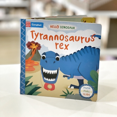 Ukuran Disesuaikan Buku Papan Cerita Dinosaurus Penuh Warna Untuk Anak-Anak