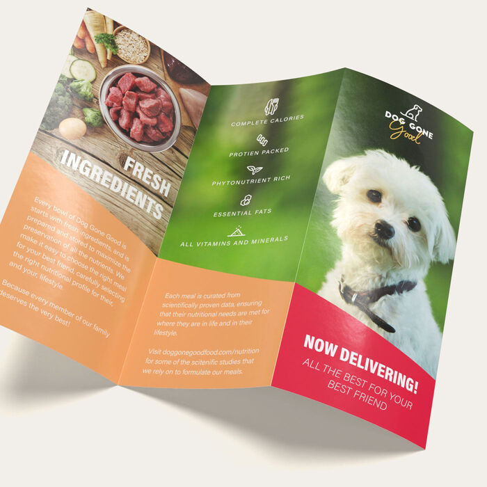 Desain Flyer ISO9001 Dan Cetak Kustom Warna Pencetakan Flyer Profesional